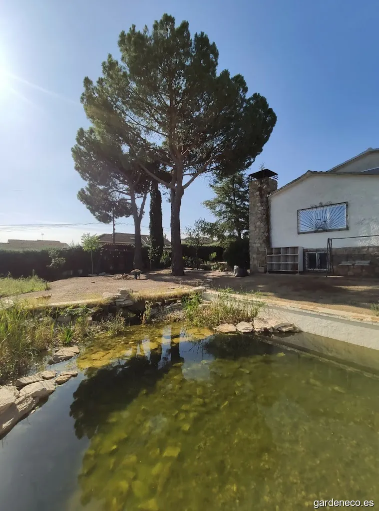 Isla Verde Obras Y Servicios S.l.