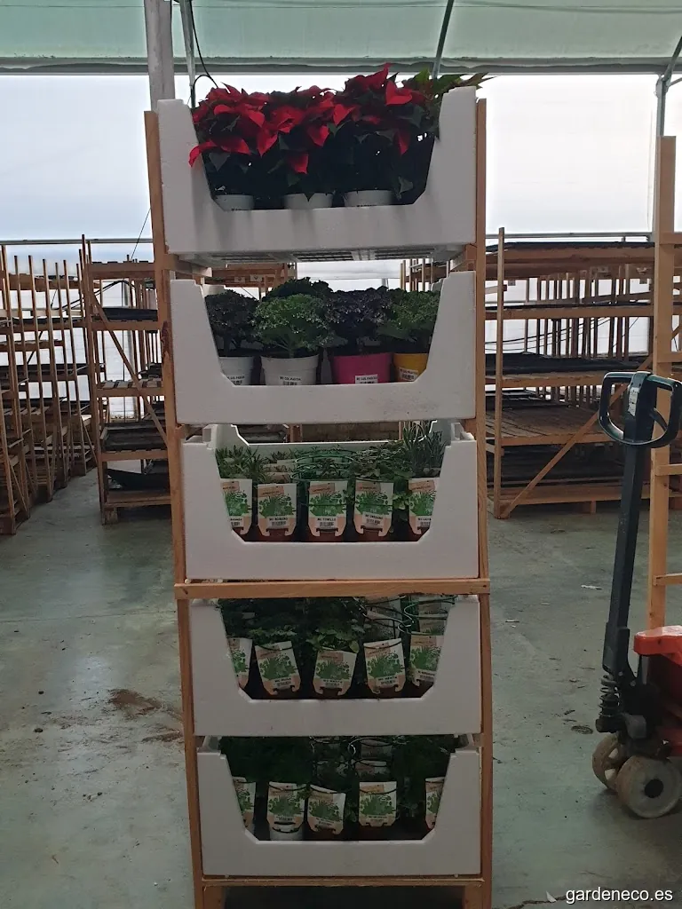 Daivan Nature semilleros