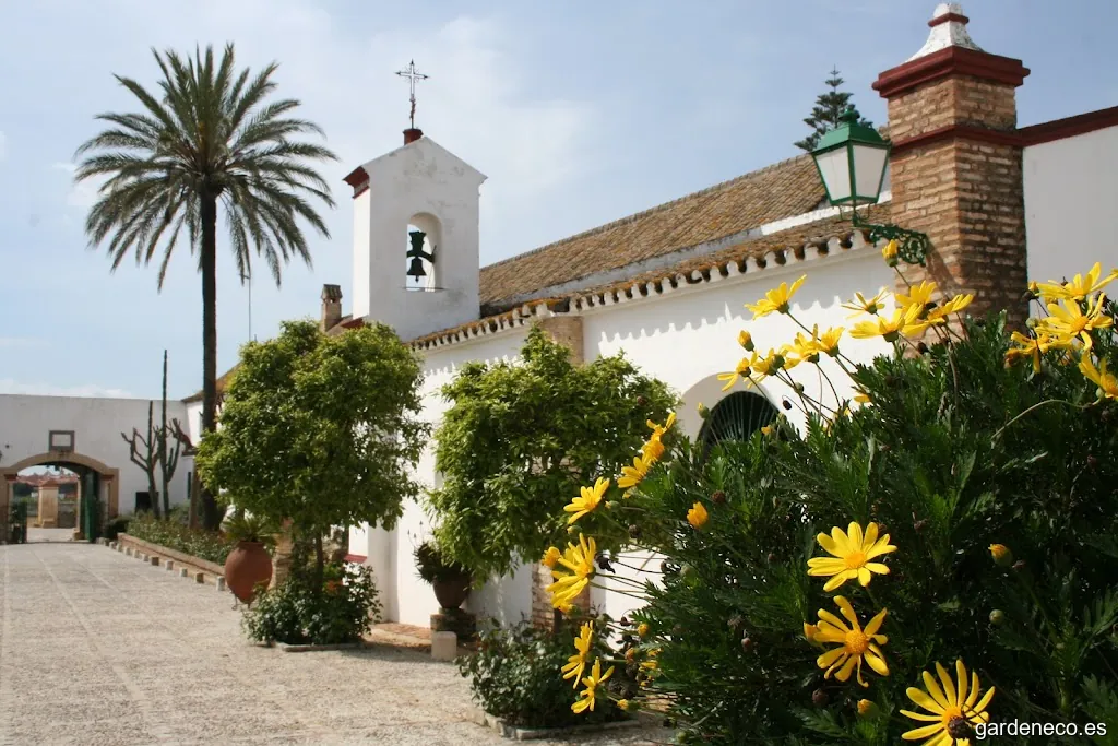 Hacienda Torre De Las Arcas