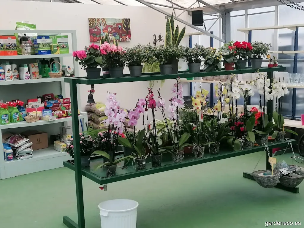 Myflor Jardín y Hogar