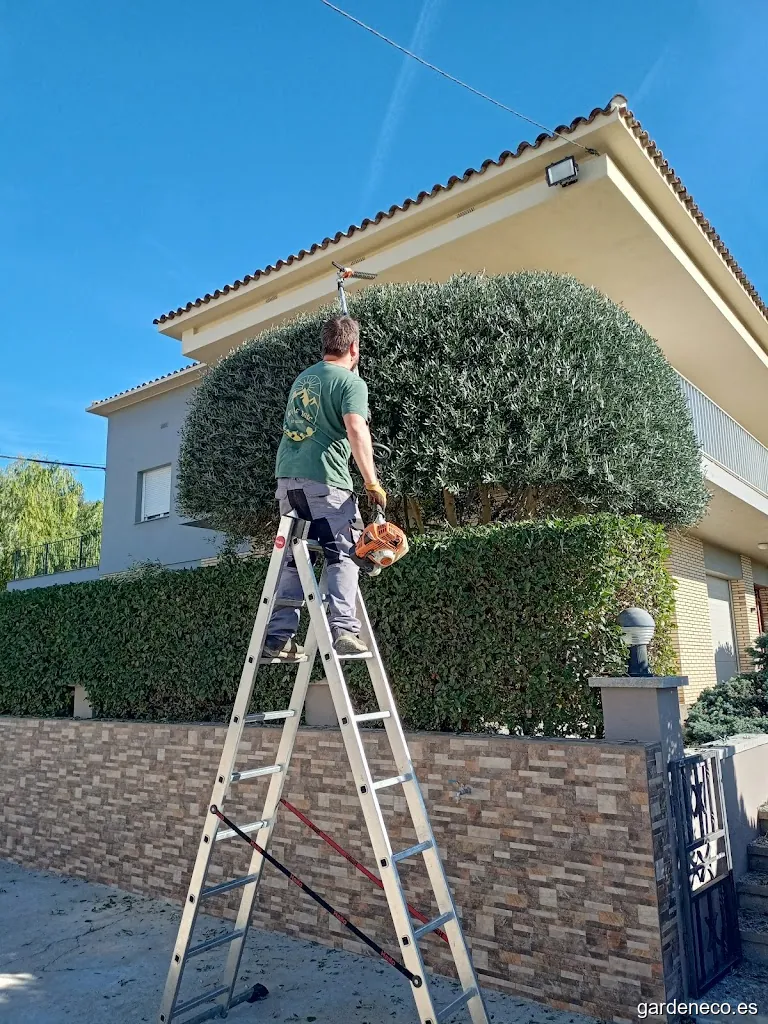 Quercus Jardineria Sostenible