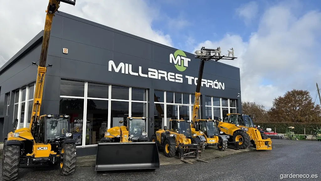 Millares Torrón S L