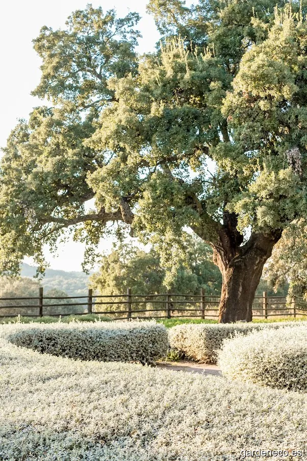 LA BELLA SOMBRA PAISAJISMO