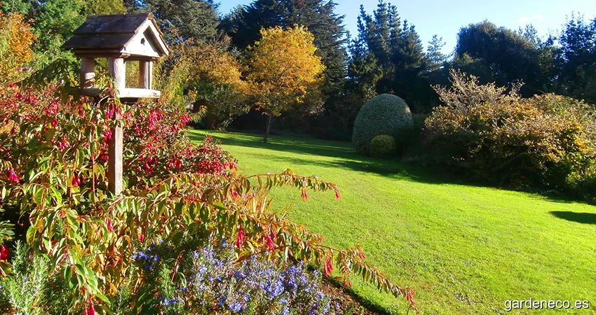 Jardinería Diógenes