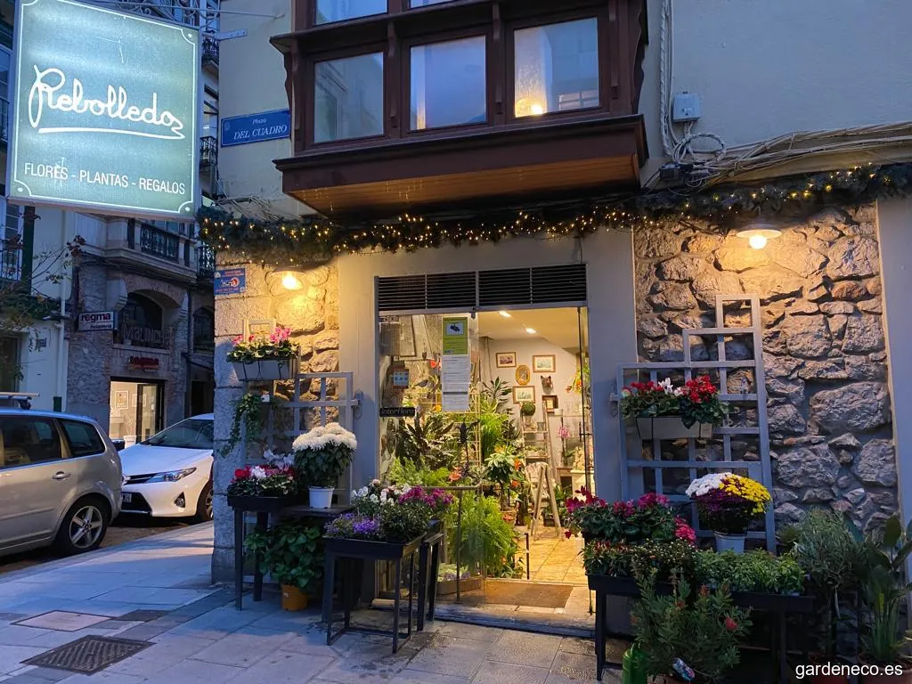 Rebolledo Floristería Santander