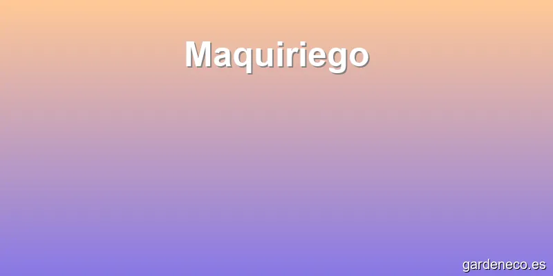 Maquiriego