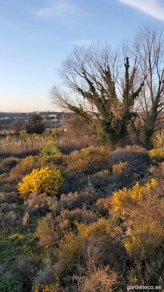 Zona de Paseo La Planilla