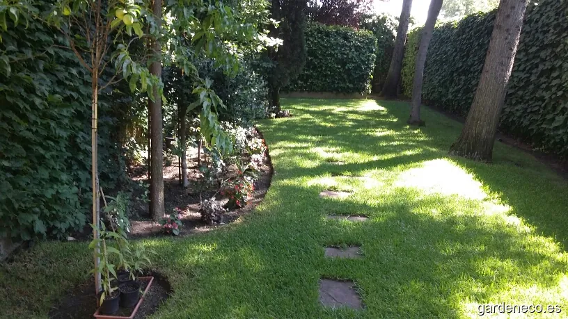 Nelson Servicios De Jardinería