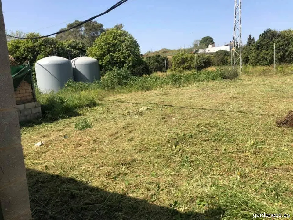 Sevijardin jardinería y podas