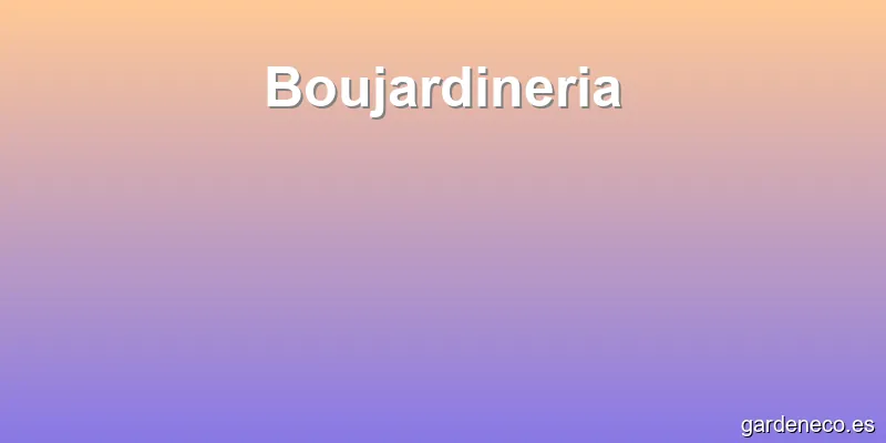 Boujardineria