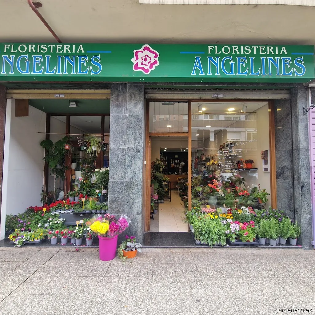 Floristeria Angelines