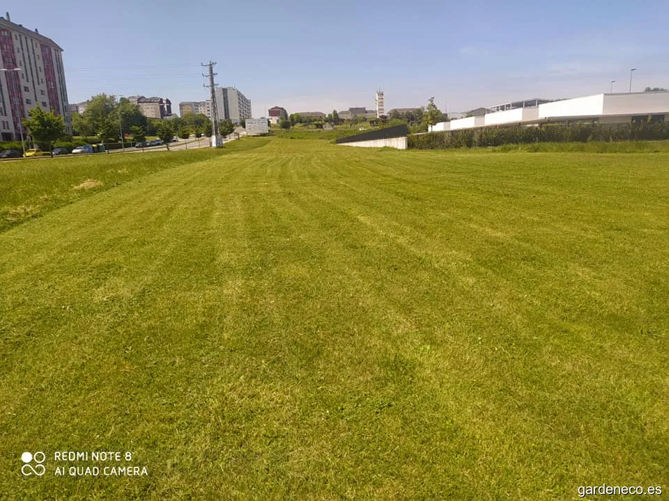 Mantenimientos Sabin