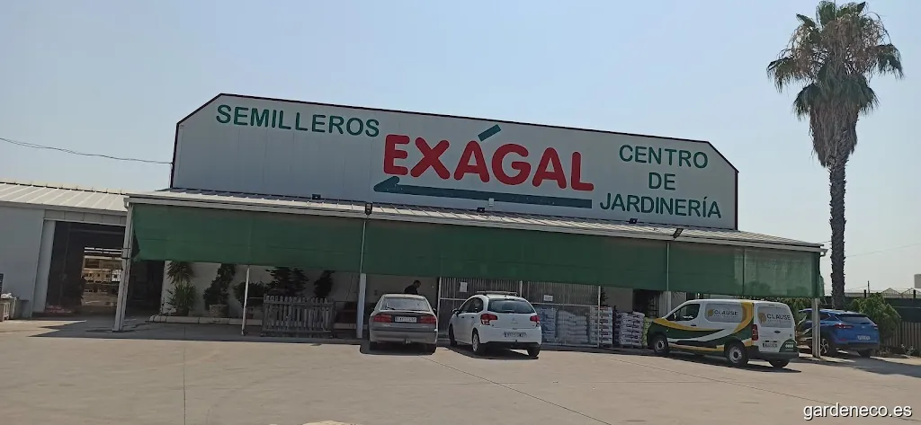 Exagal