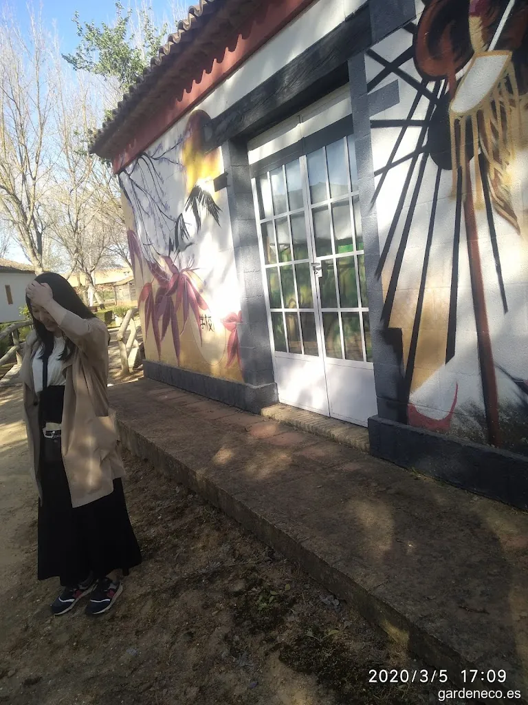 Club de Bonsai Almonte