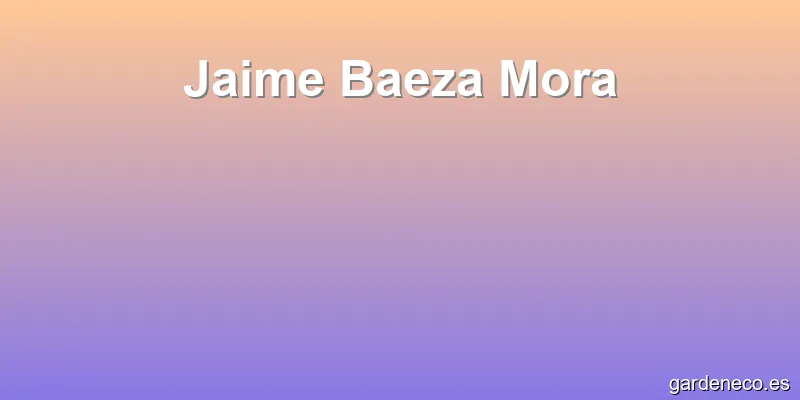 Jaime Baeza Mora