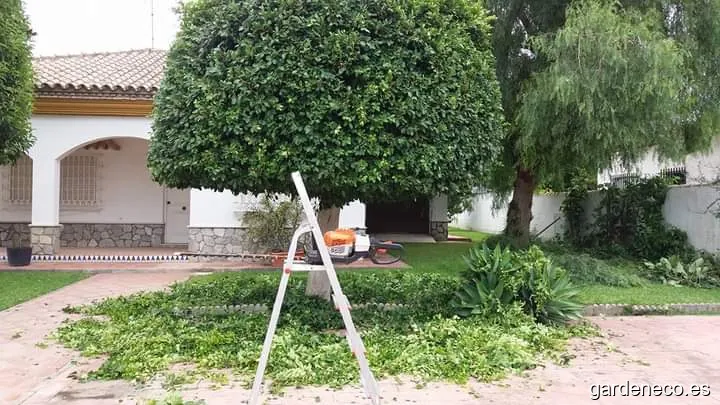 jardineriachiclana.es