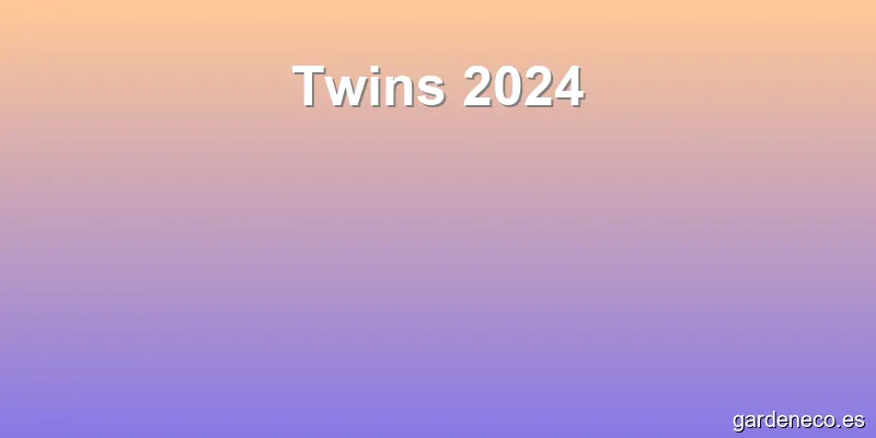 Twins 2024