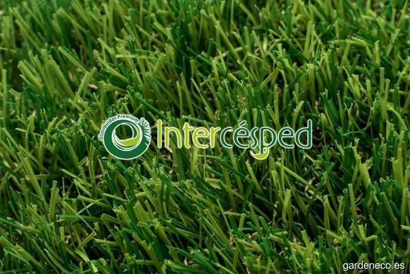 Intercésped Césped Artificial