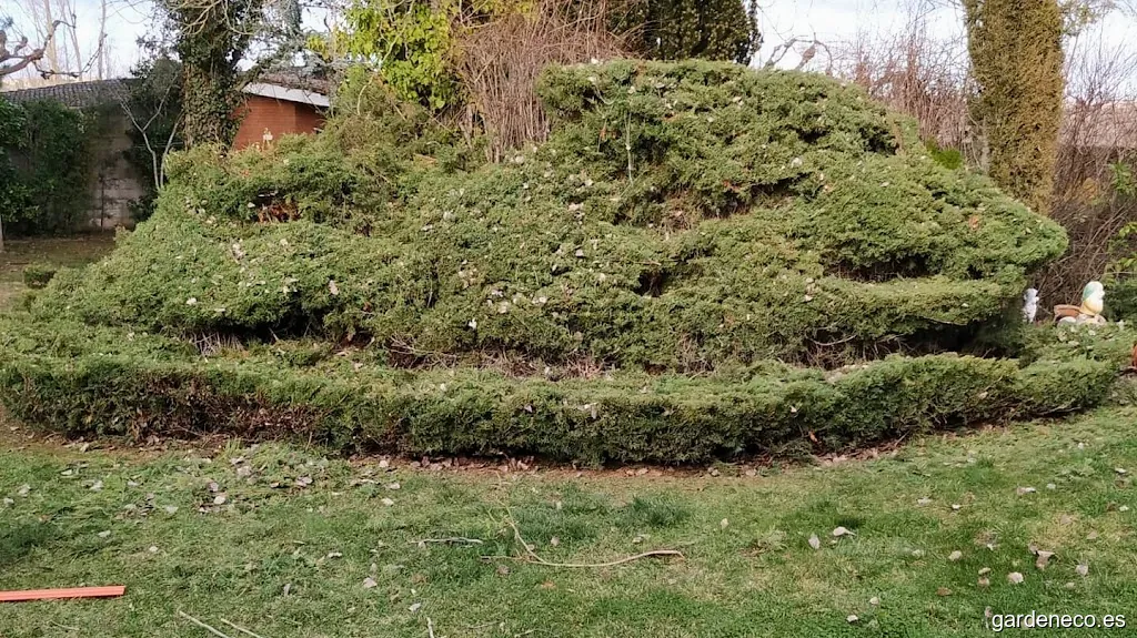 Scarpizo jardinería y campo