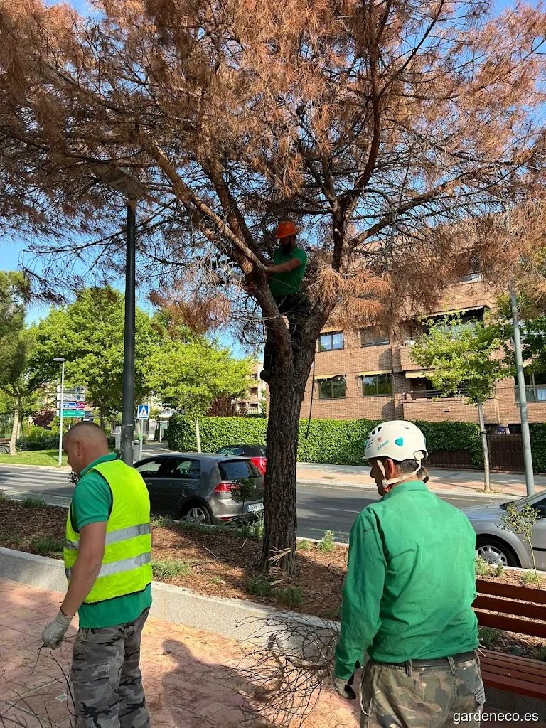 Jardinería y Limpieza Natur S.L.