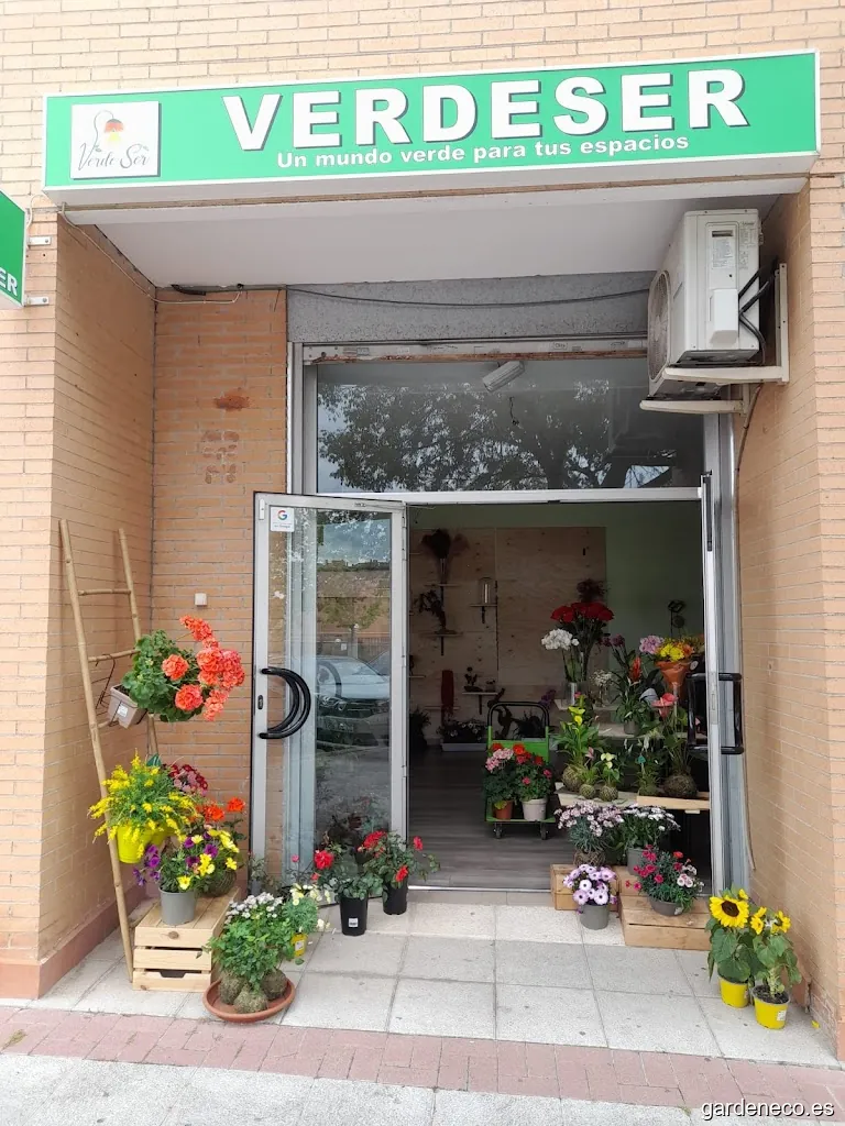 Verdeser Kokedamas y Flores