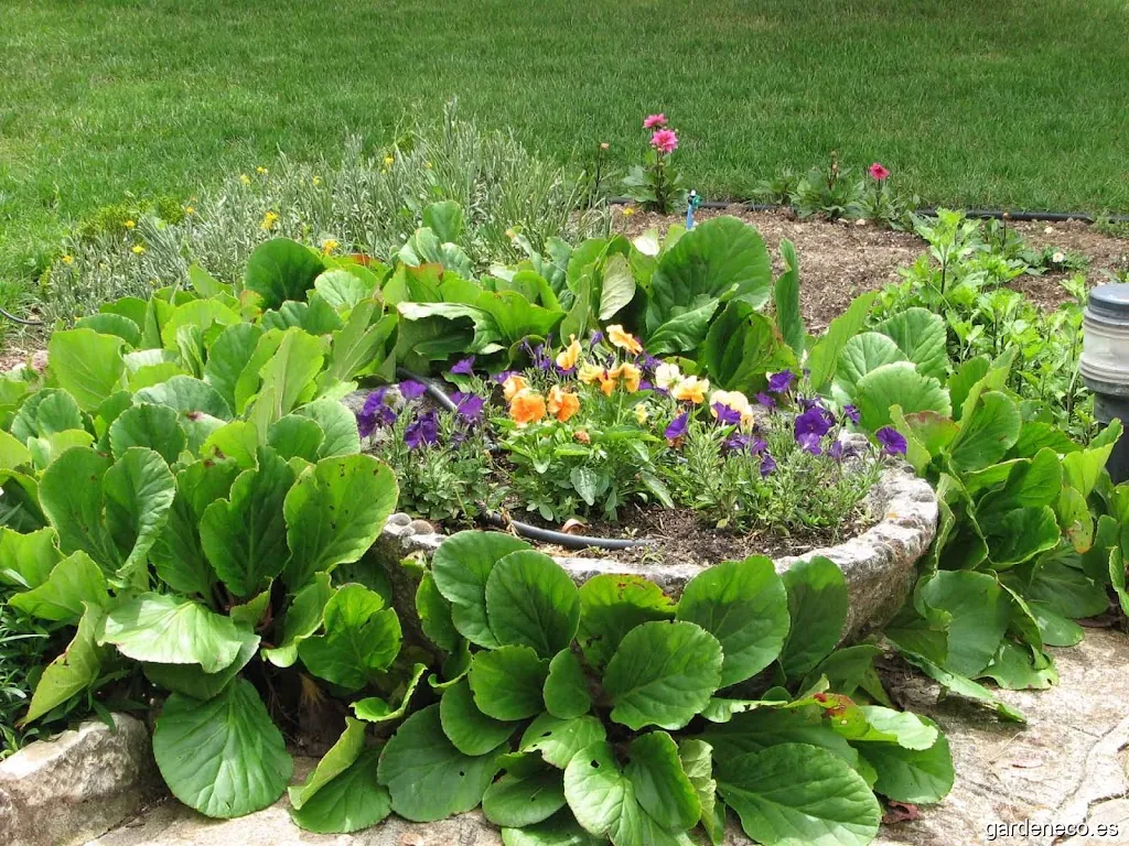 A2 Mantenimiento: jardines, piscinas y comunidades.