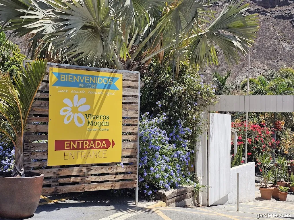 Viveros Mogán