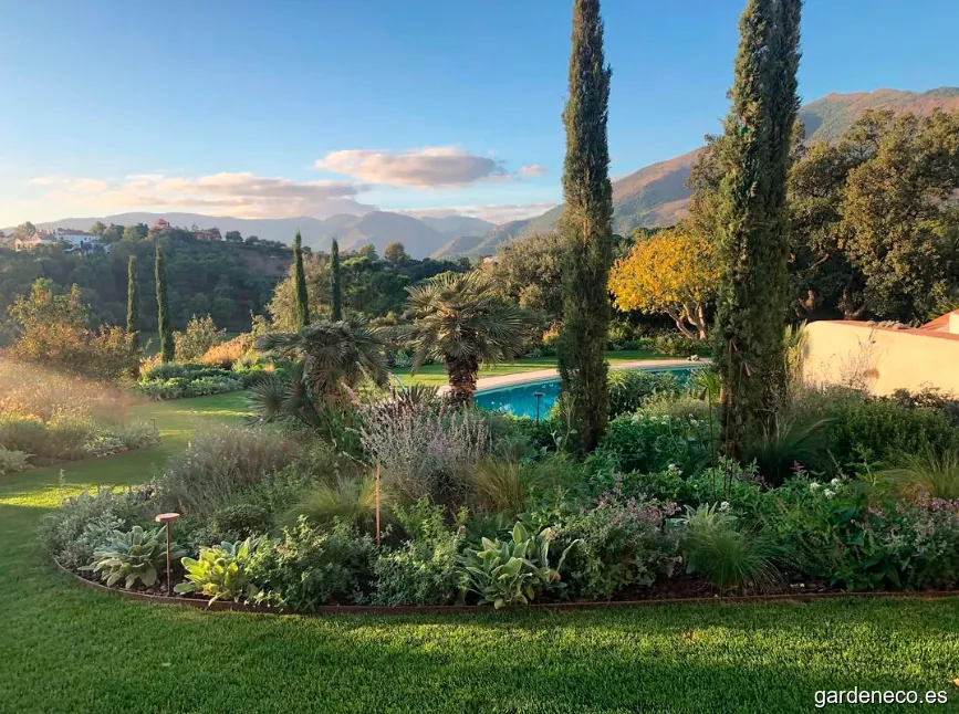 Verónica de Torres Landscape Services