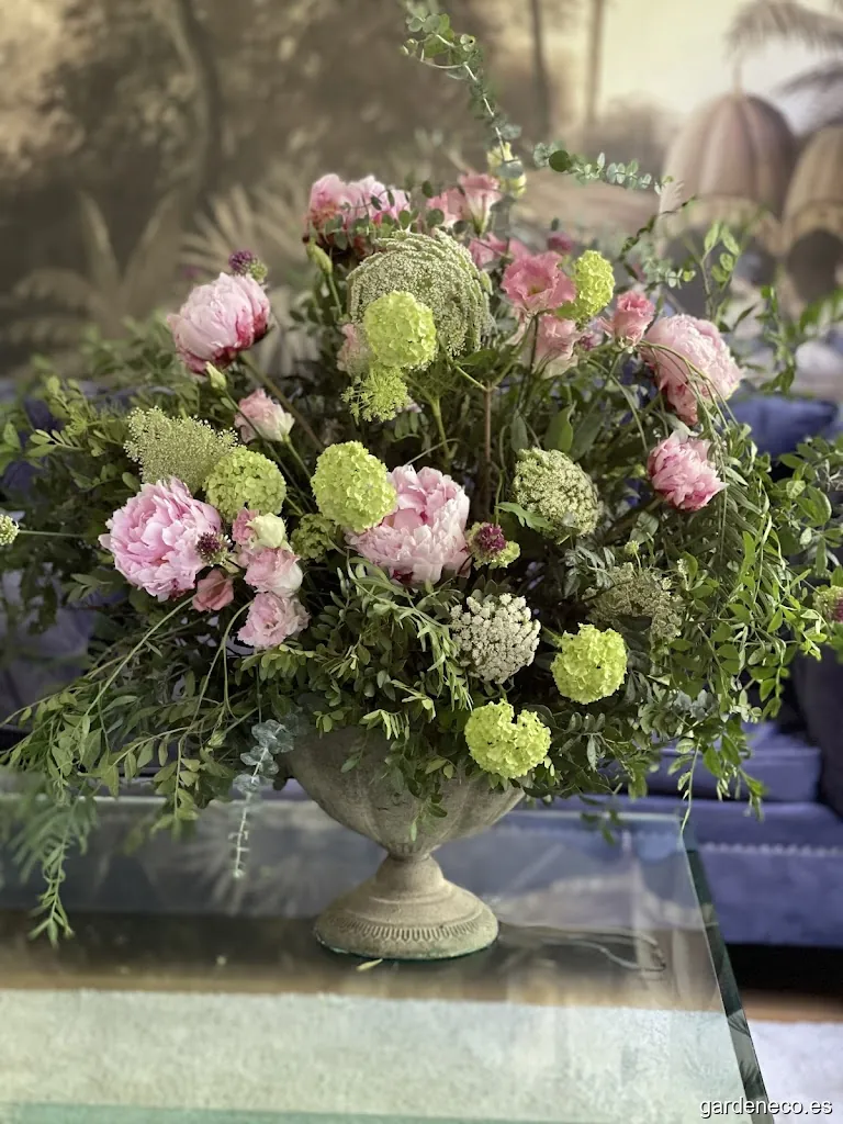 La Fuente Del Viento