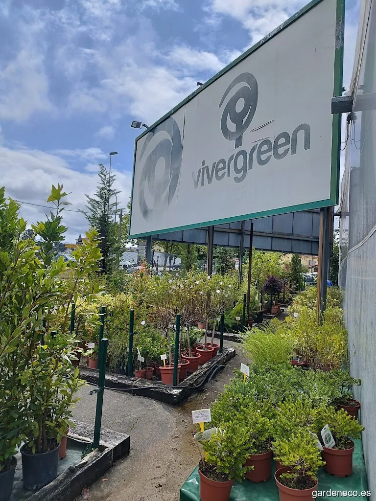 Vivergreen Paisajismo