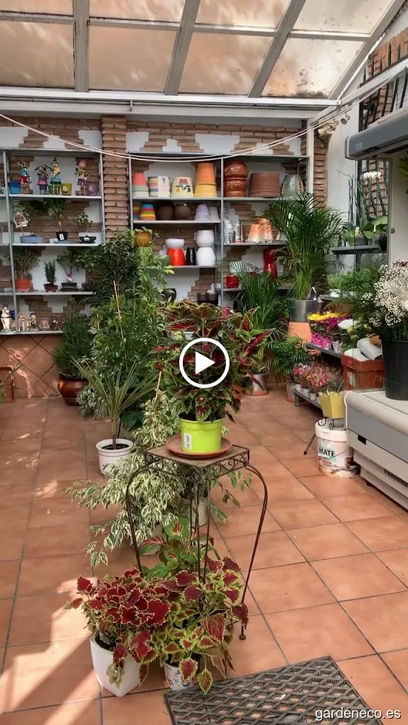 Floristería Vivero Alcázar