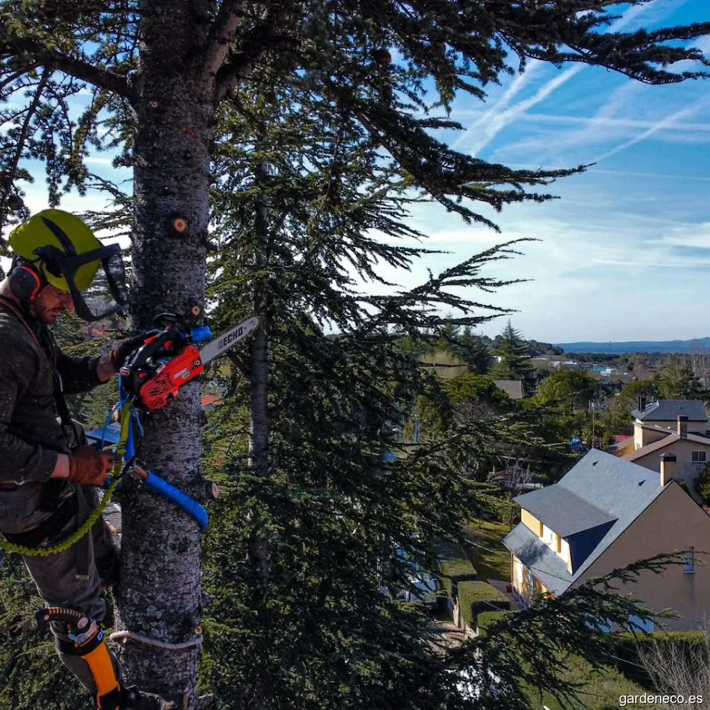 JARDINERÍA EL JARDÍN DE LA PEÑOTA