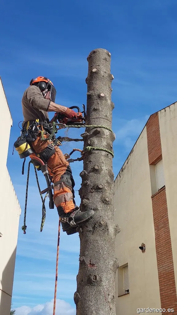 Tecniflora Jardineria