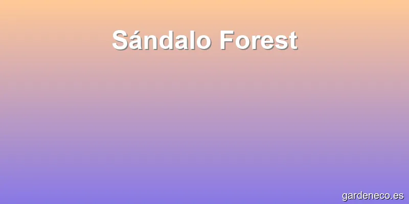 Sándalo Forest