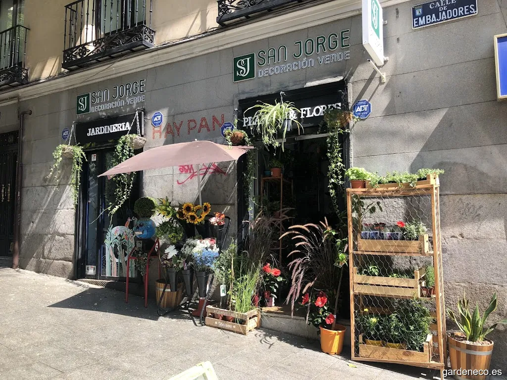 San Jorge Decoracion Verde