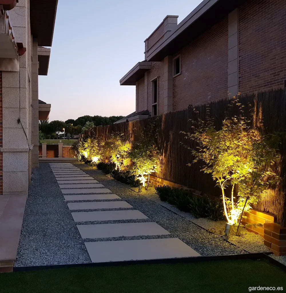 Estudio Sofía Medina