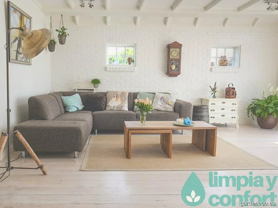 Limpia y Confort