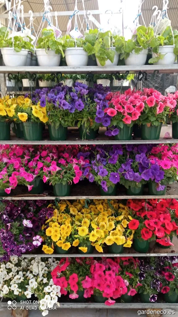 Semillero Vivero La Carraca