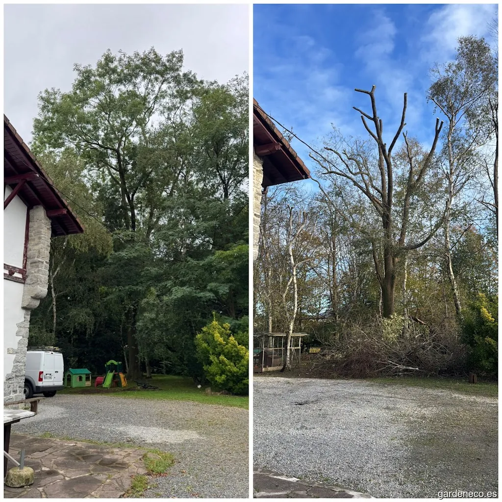 Gorago Jardineria y Poda en Altura