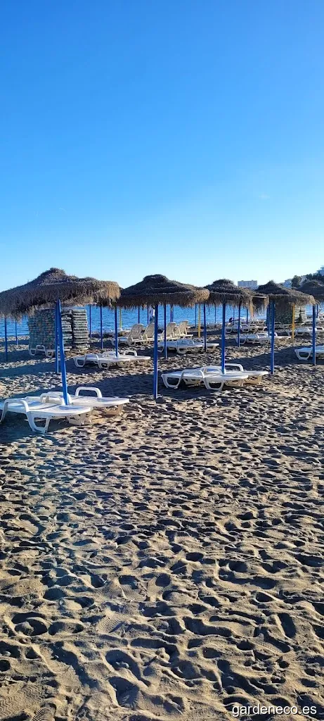 Plaza del Remo - La Carihuela