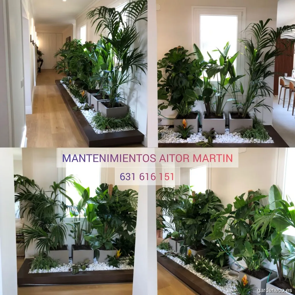 Mantenimientos Aitor Martín