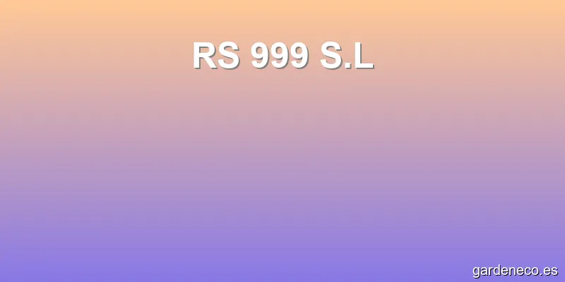 RS 999 S.L
