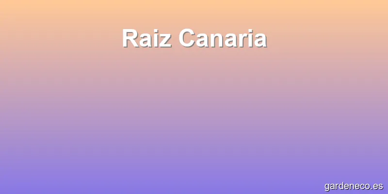 Raiz Canaria