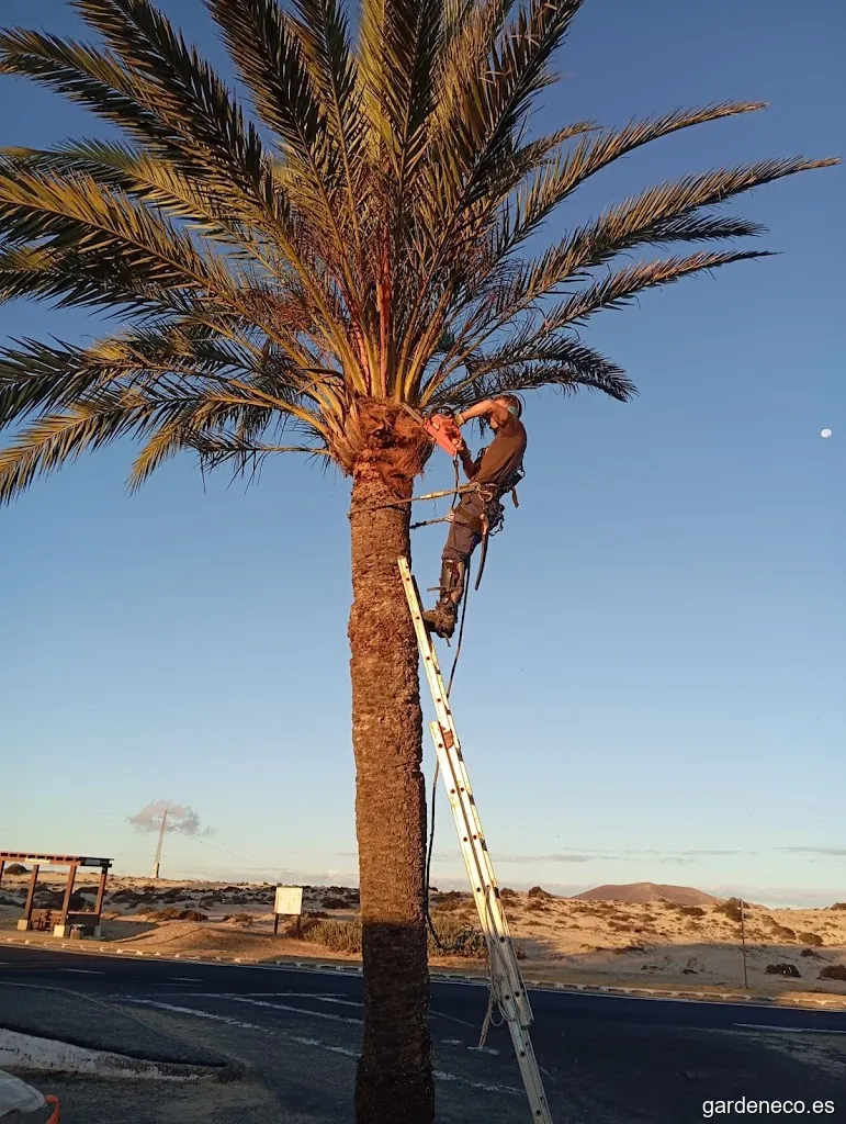 Jardinería Bentejui