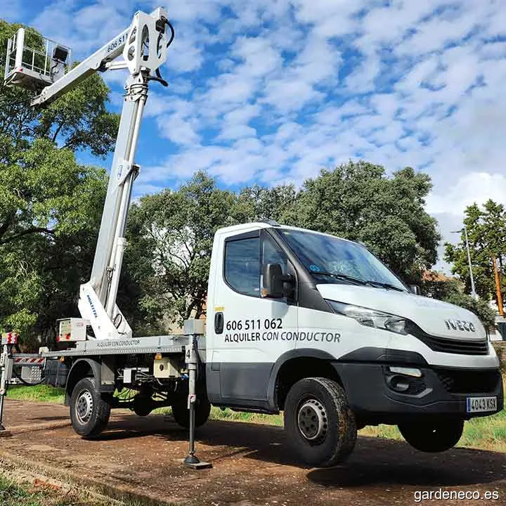 Lubopro.es: alquiler camión cesta elevadora, especialistas en poda en altura y destoconado en Madrid.es