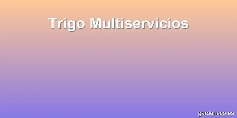 Trigo Multiservicios