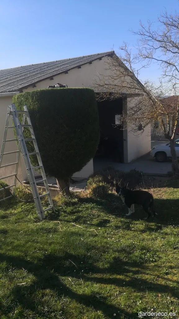 Jardineria Cuatrifolia S.C