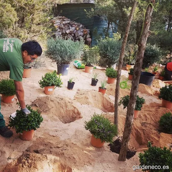 Las Gardenias Jardines