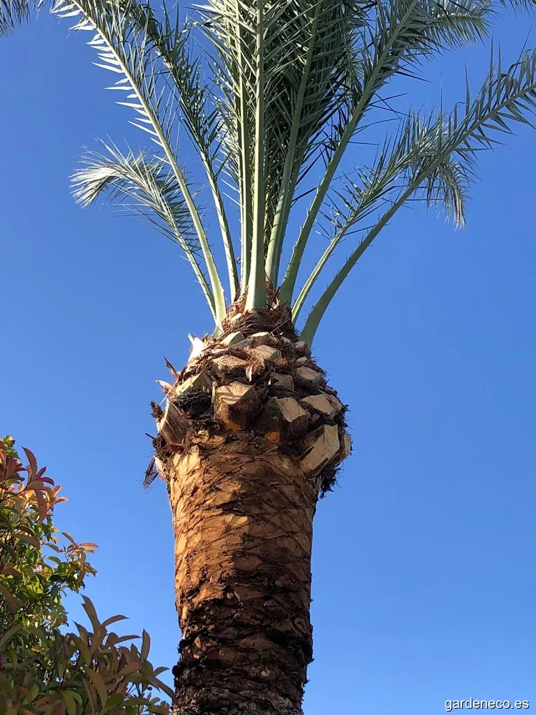 happigarden jardinería y paisajismo