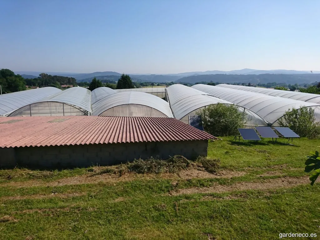 Viveros Marcos Antonio